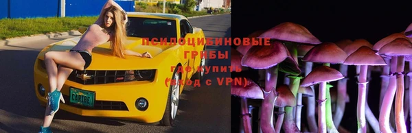 дмт Абинск