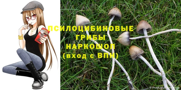 дмт Абинск