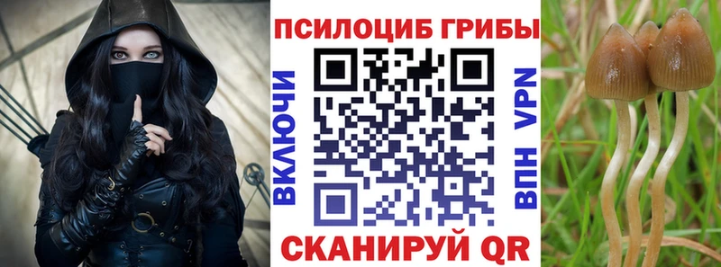 Галлюциногенные грибы Magic Shrooms  гидра ссылки  Шумерля 