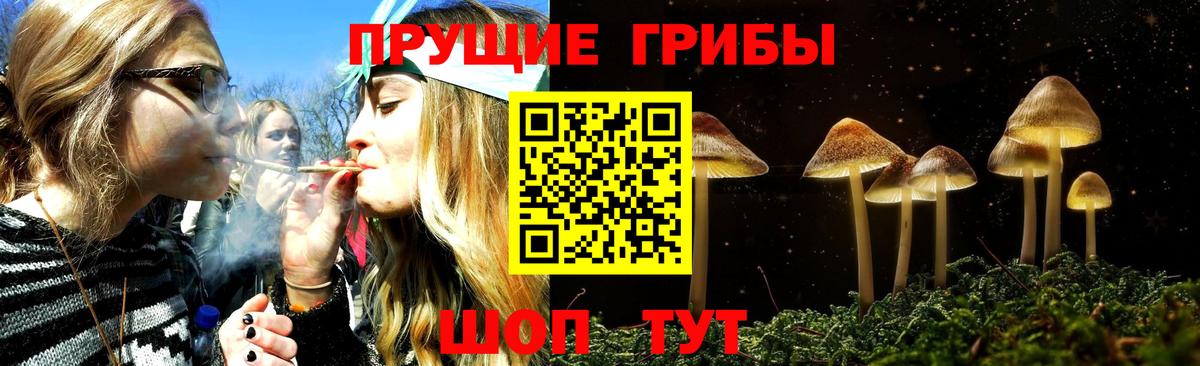 Шумерля  закладки  Вход с VPN  Псилоцибиновые грибы Psilocybine cubensis 
