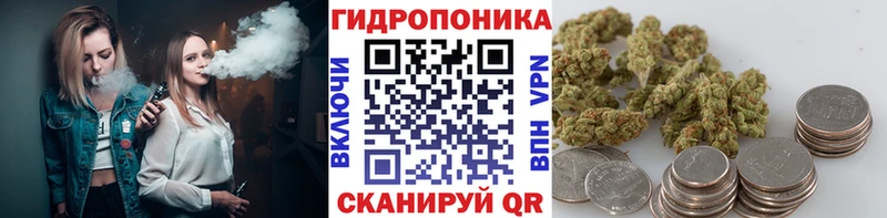 мориарти клад  Шумерля  Канабис ГИДРОПОН 